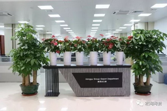 腾博会官网 - 诚信为本,专业效劳!