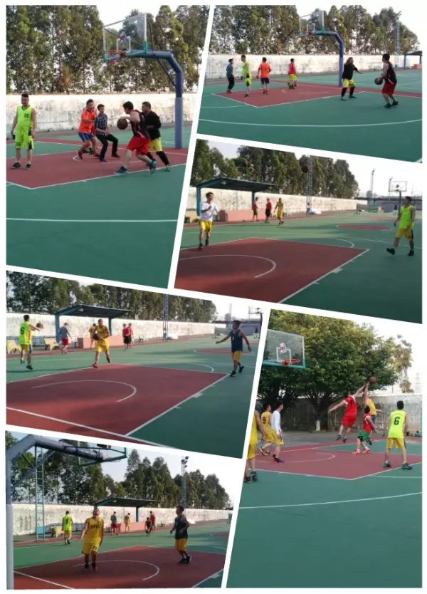 腾博会官网 - 诚信为本,专业效劳!