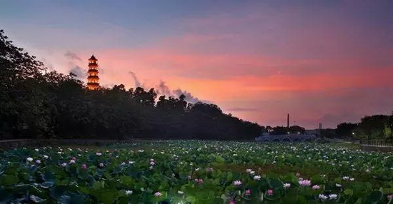 腾博会官网 - 诚信为本,专业效劳!