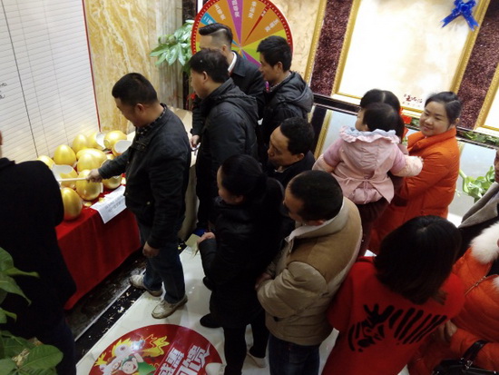 腾博会官网 - 诚信为本,专业效劳!