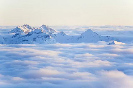 腾博会官网 - 诚信为本,专业效劳!