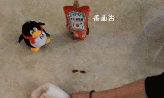 腾博会官网 - 诚信为本,专业效劳!