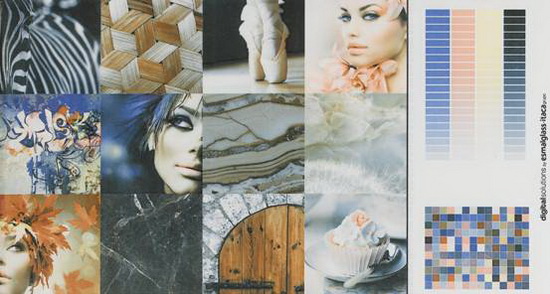 腾博会官网 - 诚信为本,专业效劳!