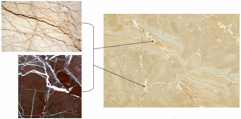 腾博会官网 - 诚信为本,专业效劳!