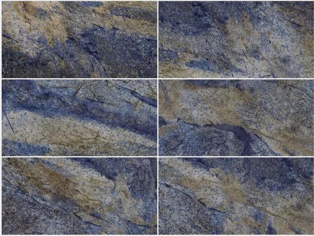 腾博会官网蓝色玫瑰瓷砖图