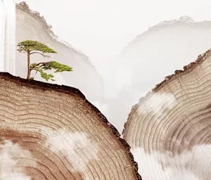 腾博会官网陶瓷