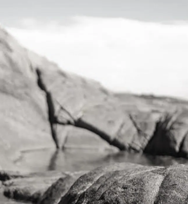 腾博会官网陶瓷岩板