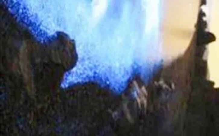 腾博会官网陶瓷品牌