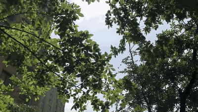 腾博会官网陶瓷