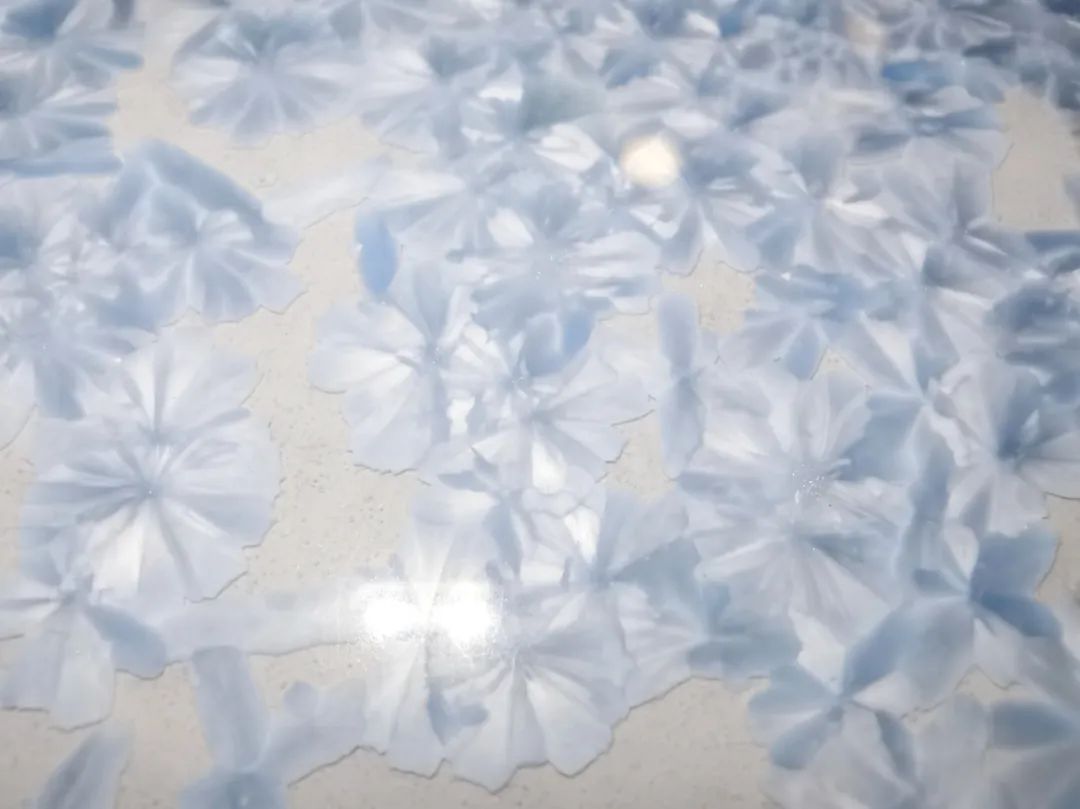 腾博会官网 - 诚信为本,专业效劳!