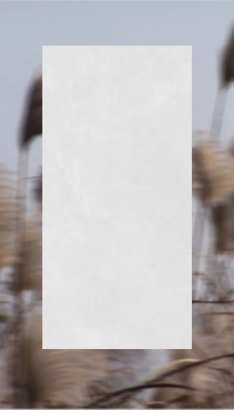 腾博会官网葭灰质感砖图