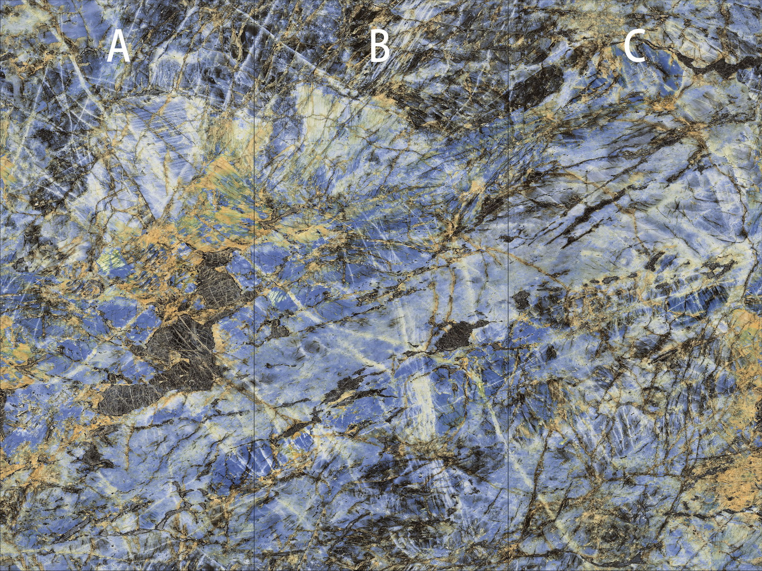 腾博会官网 - 诚信为本,专业效劳!