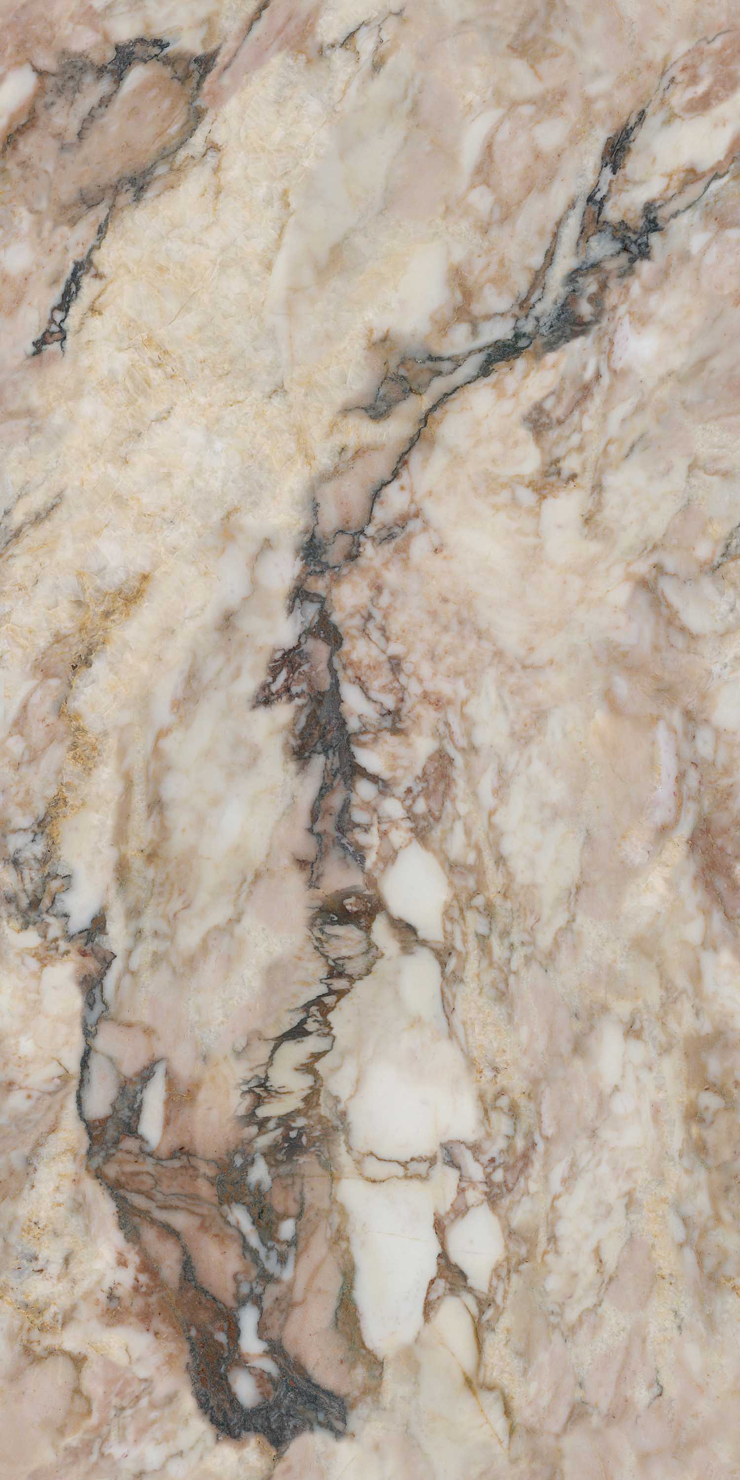 腾博会官网 - 诚信为本,专业效劳!