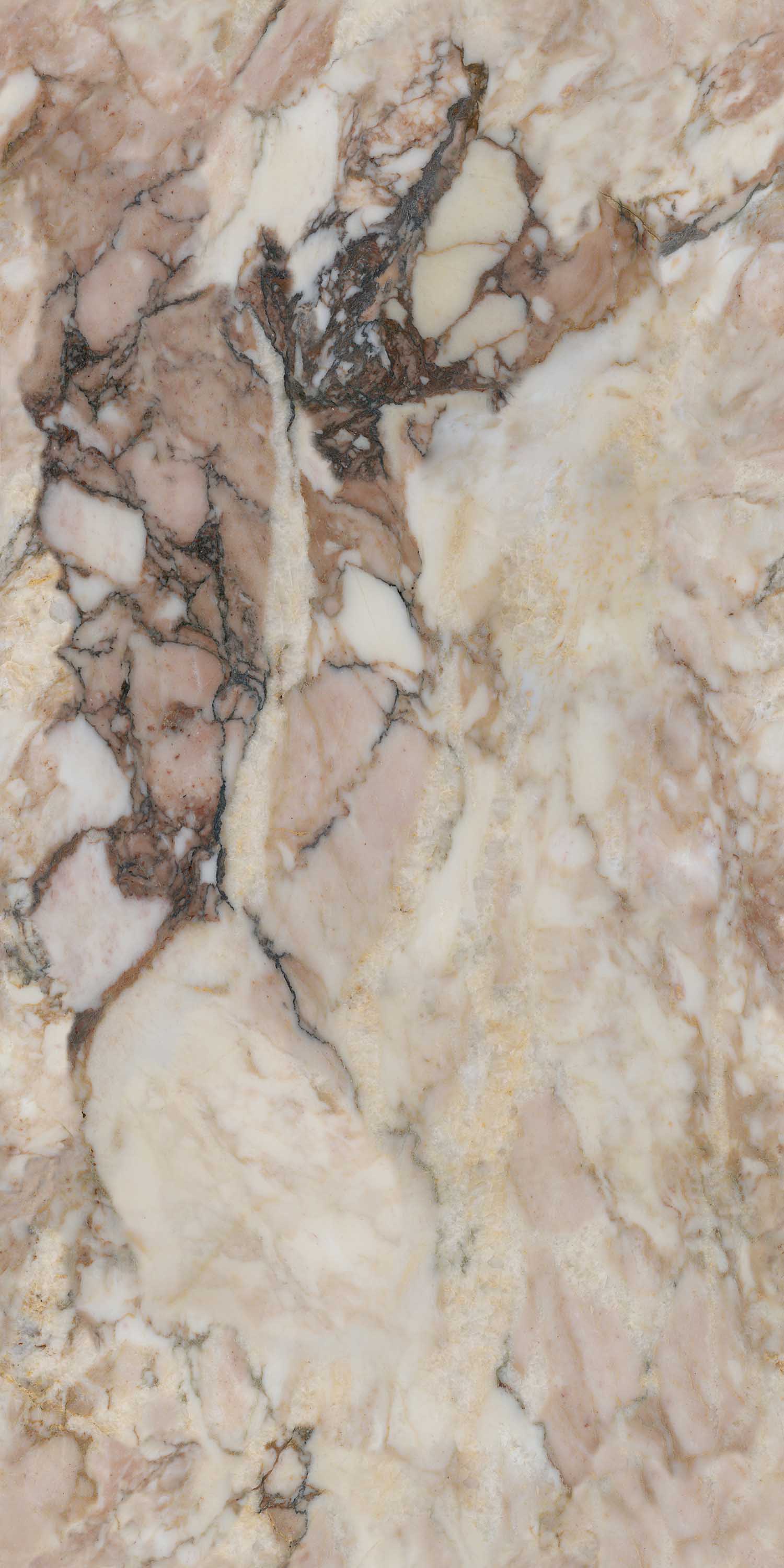 腾博会官网 - 诚信为本,专业效劳!