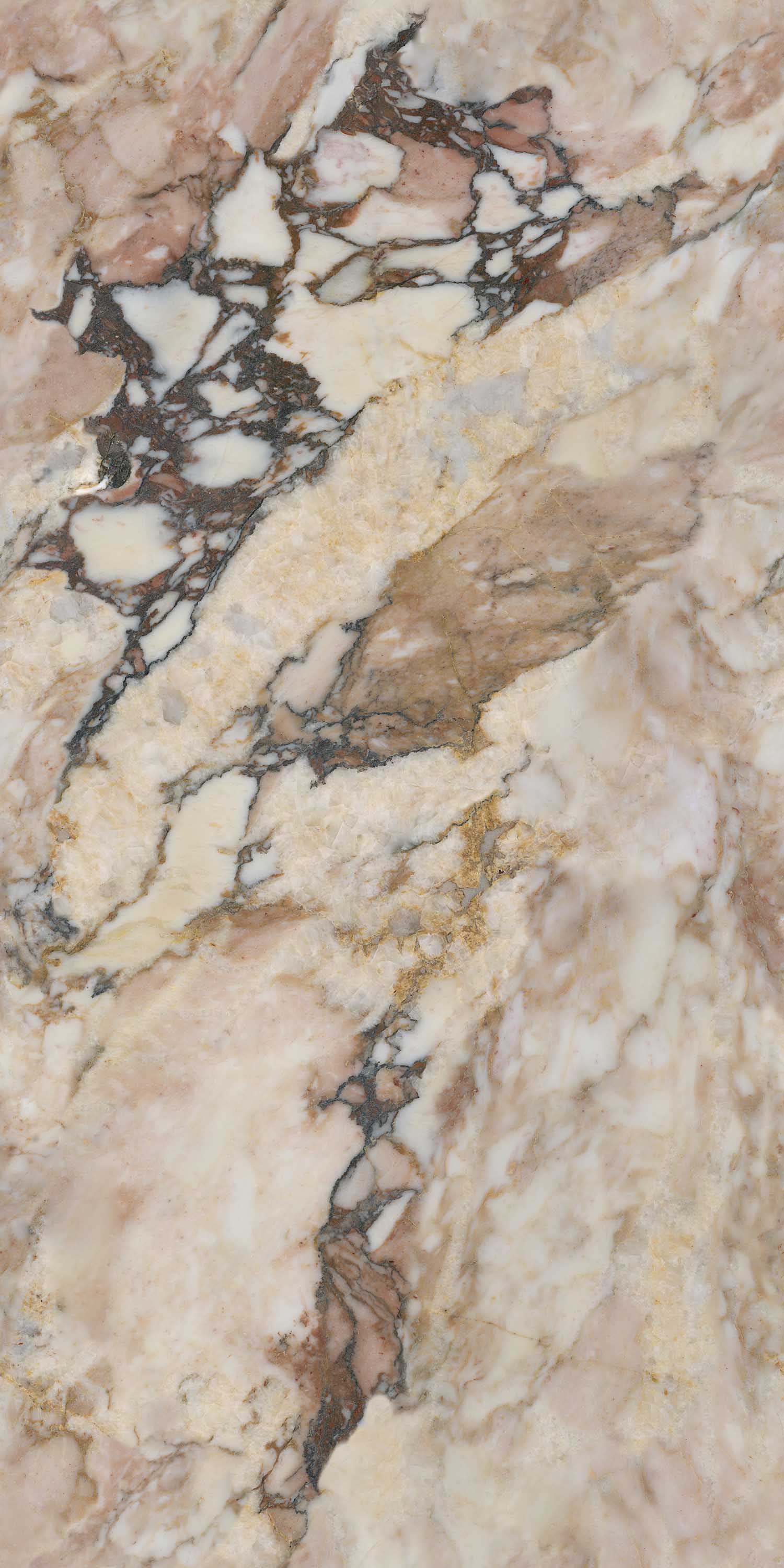 腾博会官网 - 诚信为本,专业效劳!